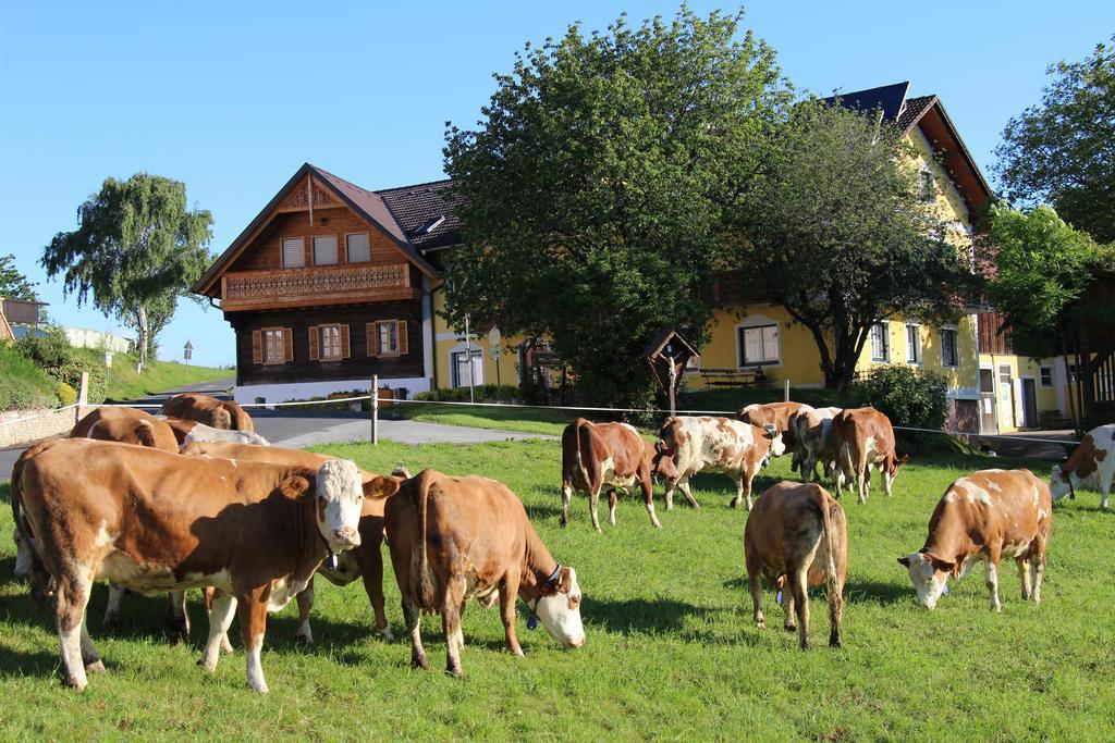Wiesenbauer - Schlogl Anton Villa Grafendorf bei Hartberg Екстериор снимка